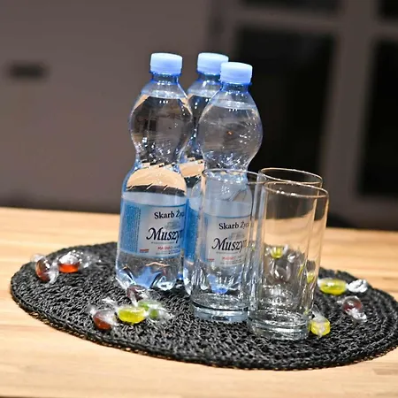 Appartement W Centrum Kalisza