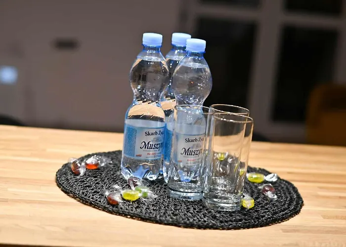 Apartment W Centrum Kalisza